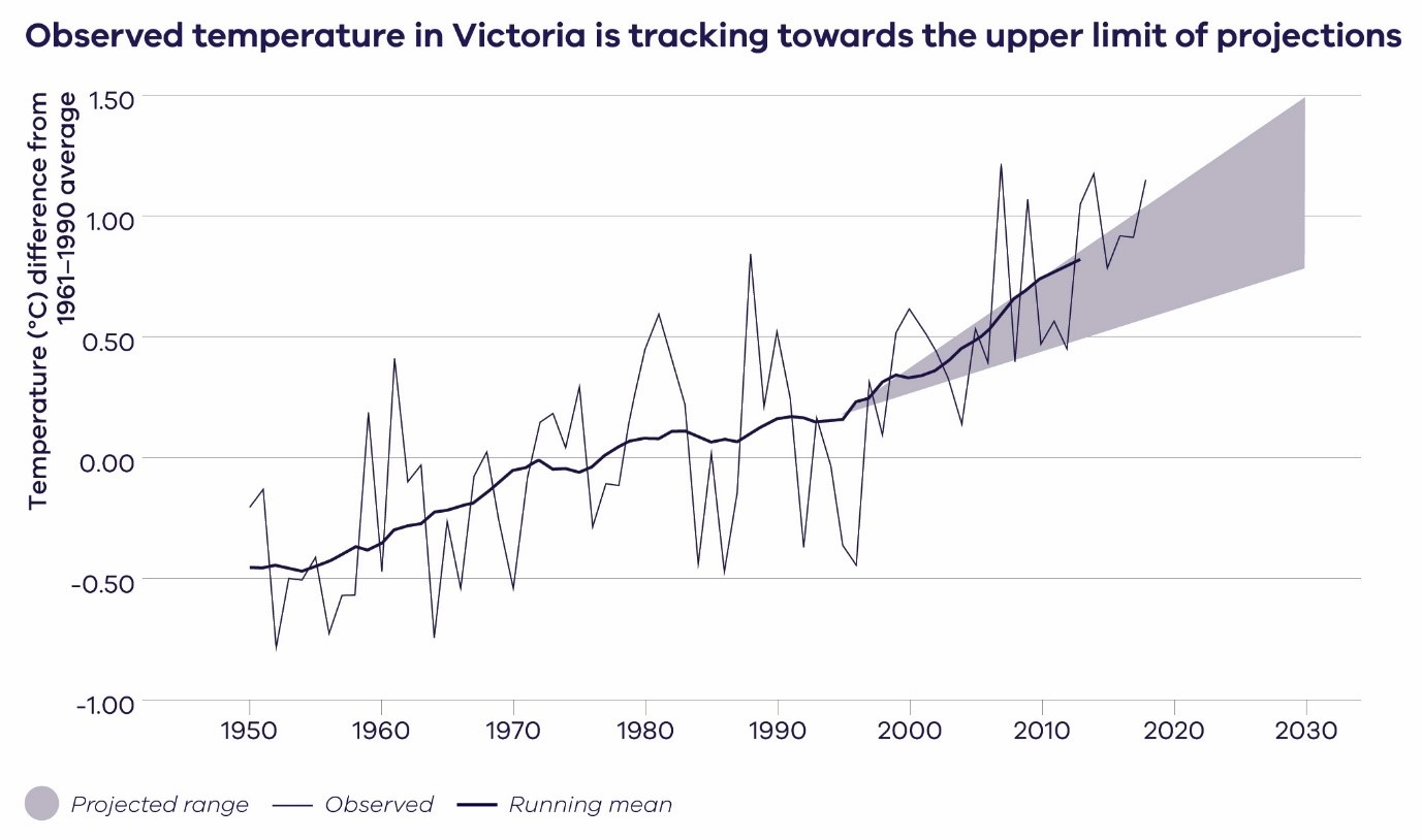 Comparison of the observed average annual temperatures for Victoria with the projected range of change. Shown are observed temperature difference from 1961-1990 average (thin black line) plus the 10-year running average (thicker line), and the projected temperature change to 2030 across climate models and emissions scenarios (relative to a 1986–2005 baseline period). For more details on the method, see Grose et al. (2017b) (CSIRO, 2019).